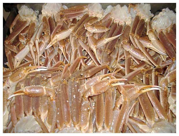 Image of Chinese Enterprise Seeking Crab Shell Suppliers in Vietnam