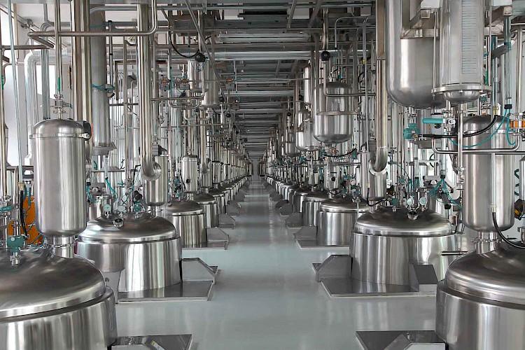 Image of International Enterprise Seeking Site for Printing Ink Production Plant in Northern Vietnam