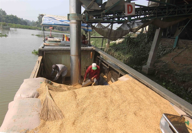 Việt Nam exports over 8 million tonnes of rice, earning $4.1 billion in 2025