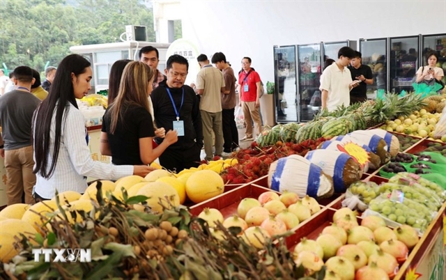 Việt Nam – China economic, trade cooperation becomes close, complementary: expert