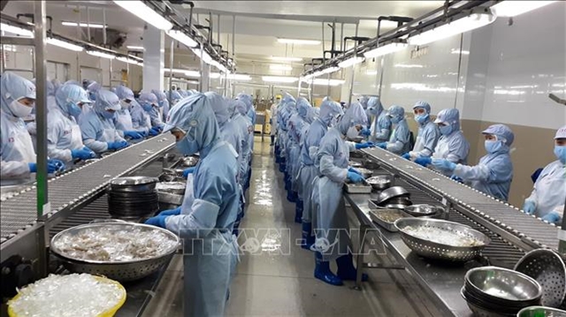 Khánh Hòa promotes high-tech marine aquaculture