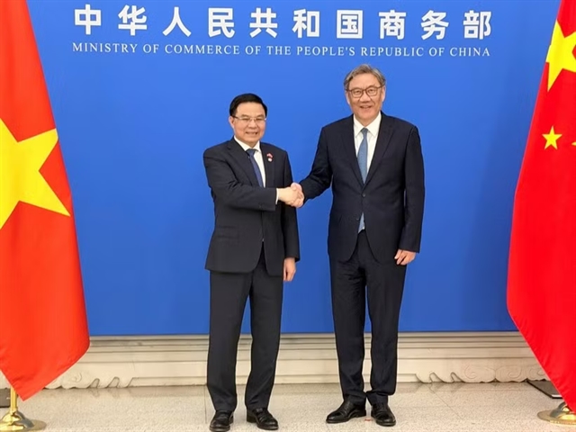 Việt Nam, China aim for more balanced trade growth