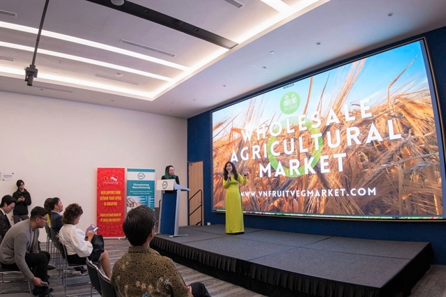 Việt Nam online agricultural wholesale market platform launched in Singapore