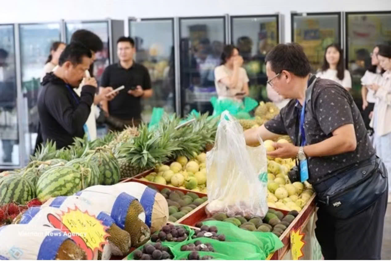 Fruit, vegetable exports surge on global demand