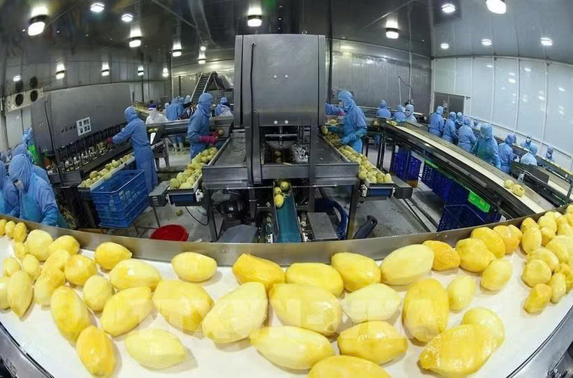 Vietnam’s agro-forestry-fishery exports rise 7.8% in nine months