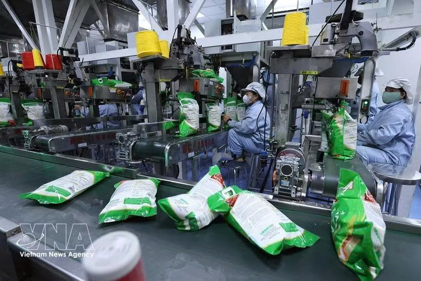 Vietnam’s rice exports exceed 3.1 billion USD amid diverging markets