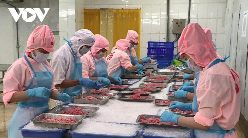 China leads Vietnam's nine-month seafood export growth