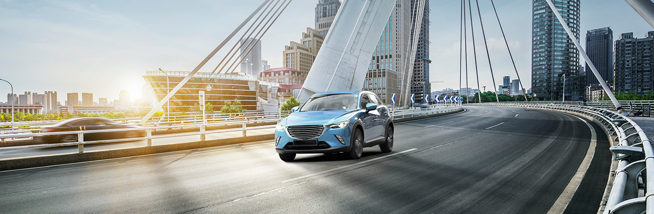 Automotive, EVs & Auto Parts
