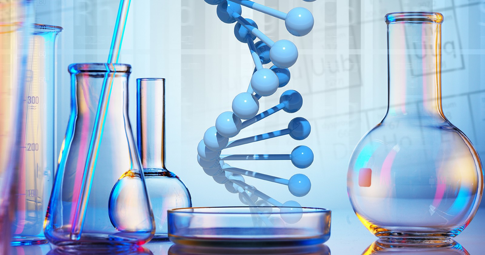 Chemicals & Petrochemicals