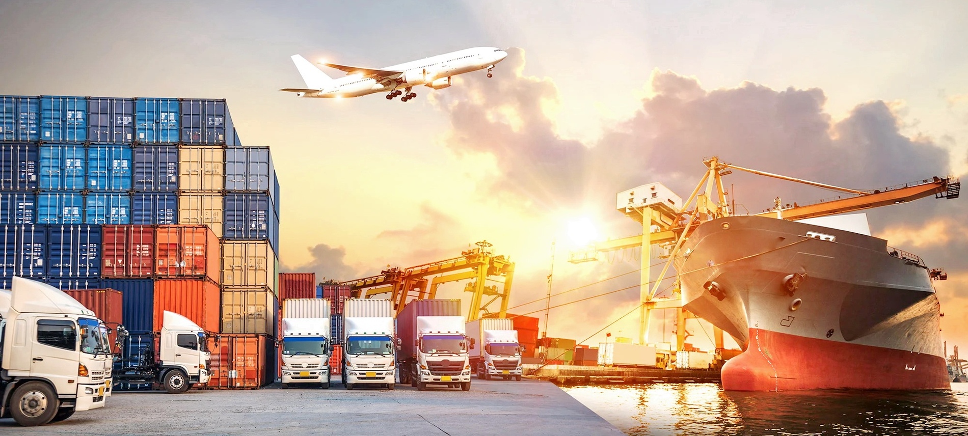 Logistics & Forwarding