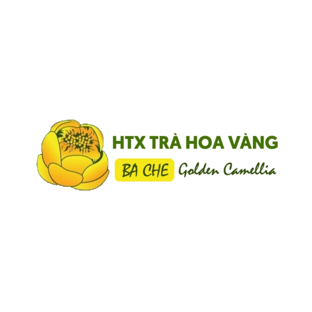 Image of partner Ba Che Golden Camellia Medicinal Cooperative