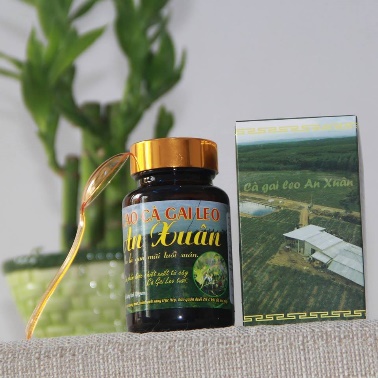 An Xuan Solanum procumbens Extract