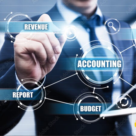 Financial statement audit services