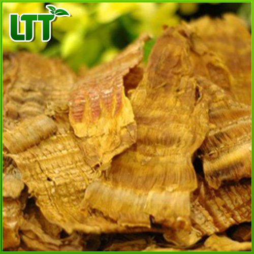 Dried bamboo shoots