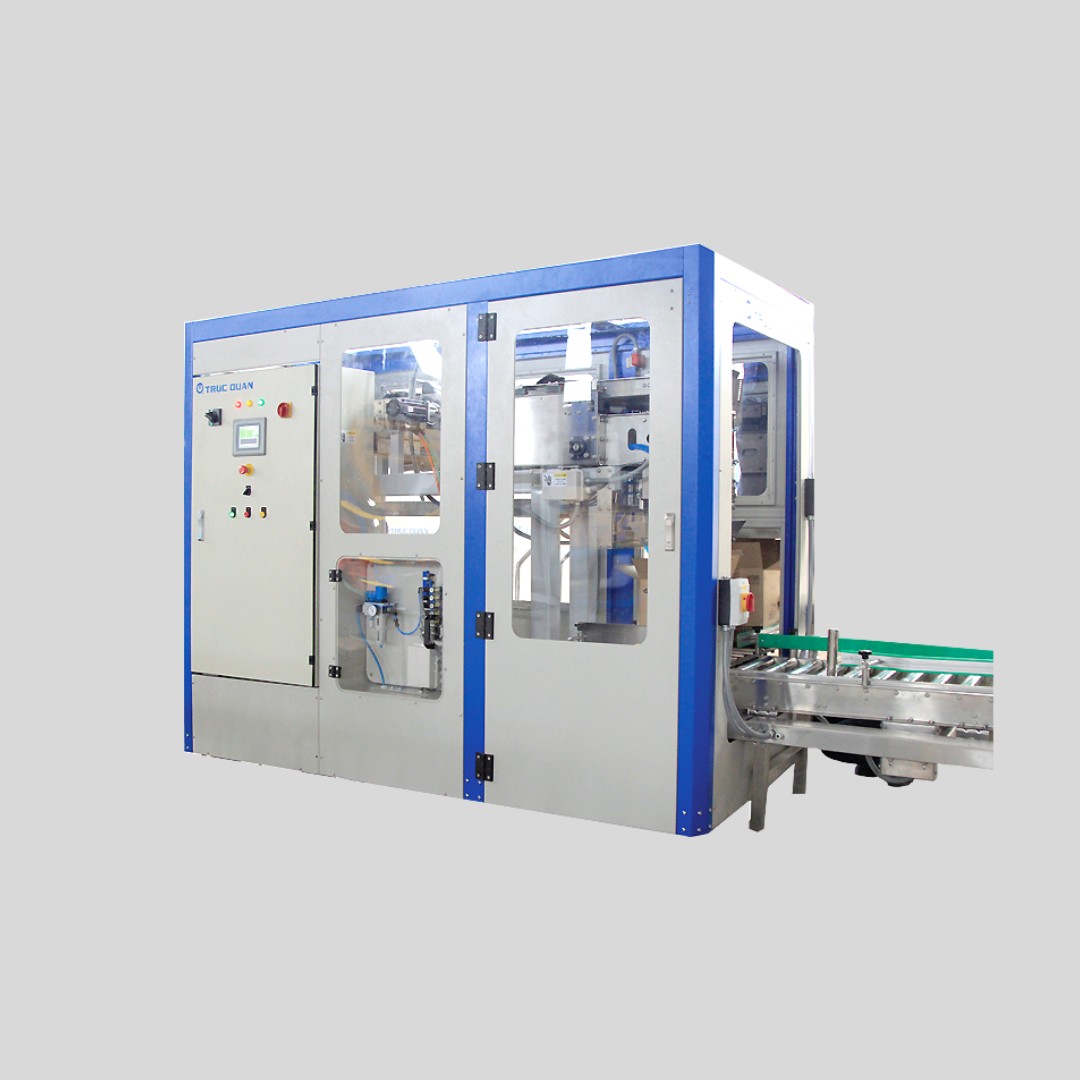 Case packing machine for bagged products